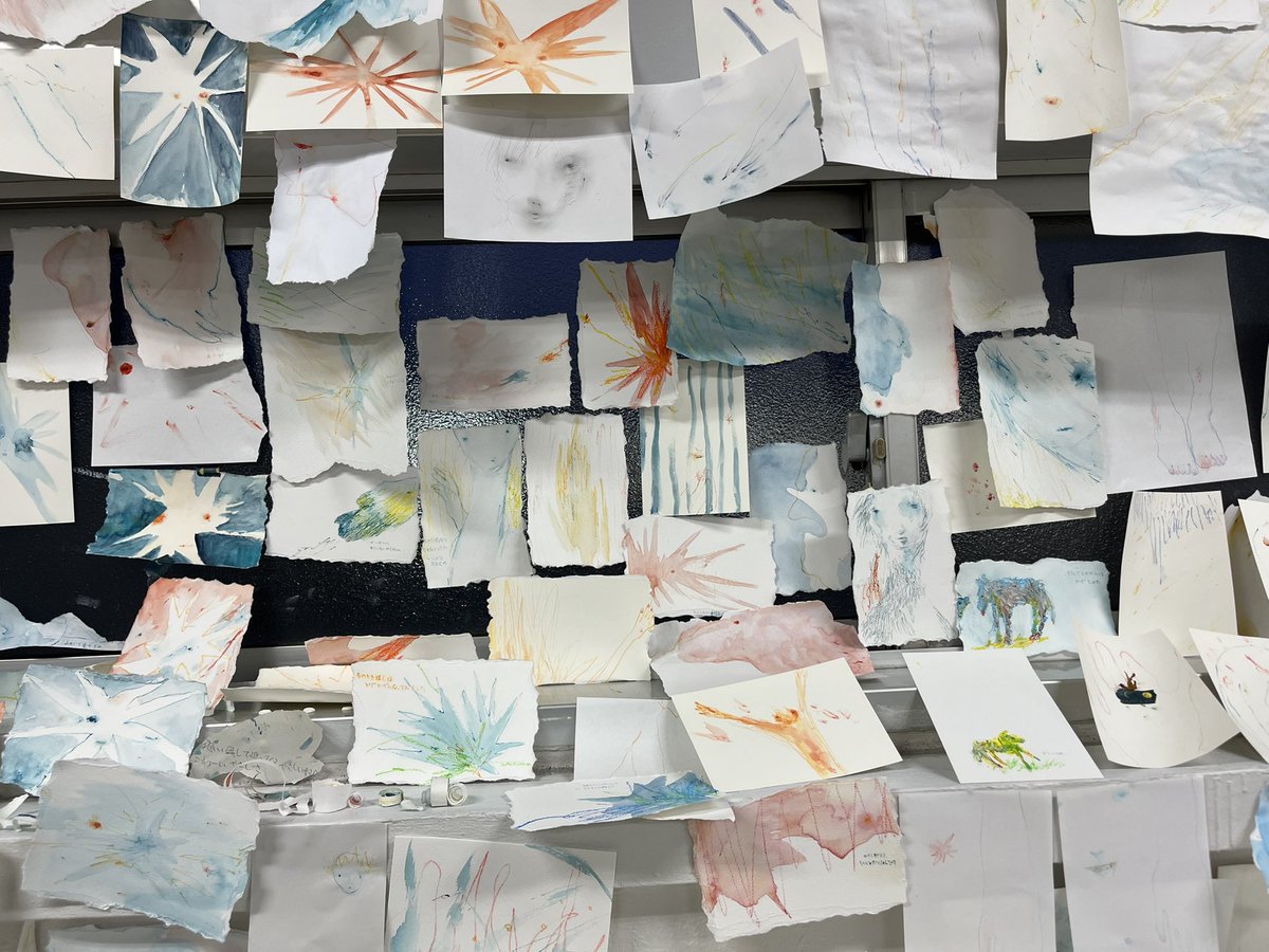 原核生物 tweet media