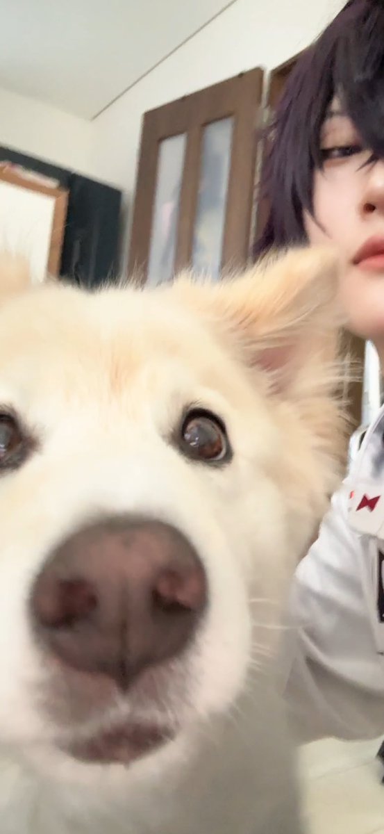 のんまる tweet media