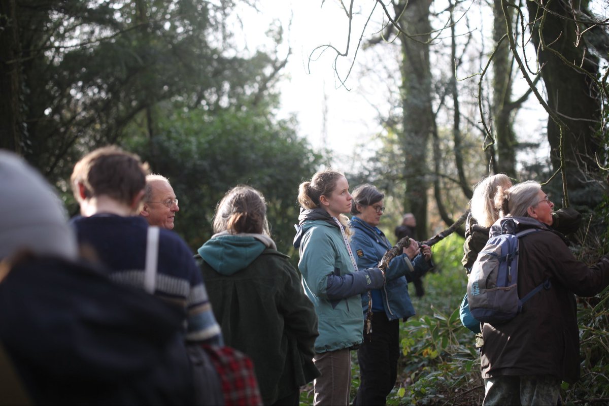 The British Lichen Society tweet media