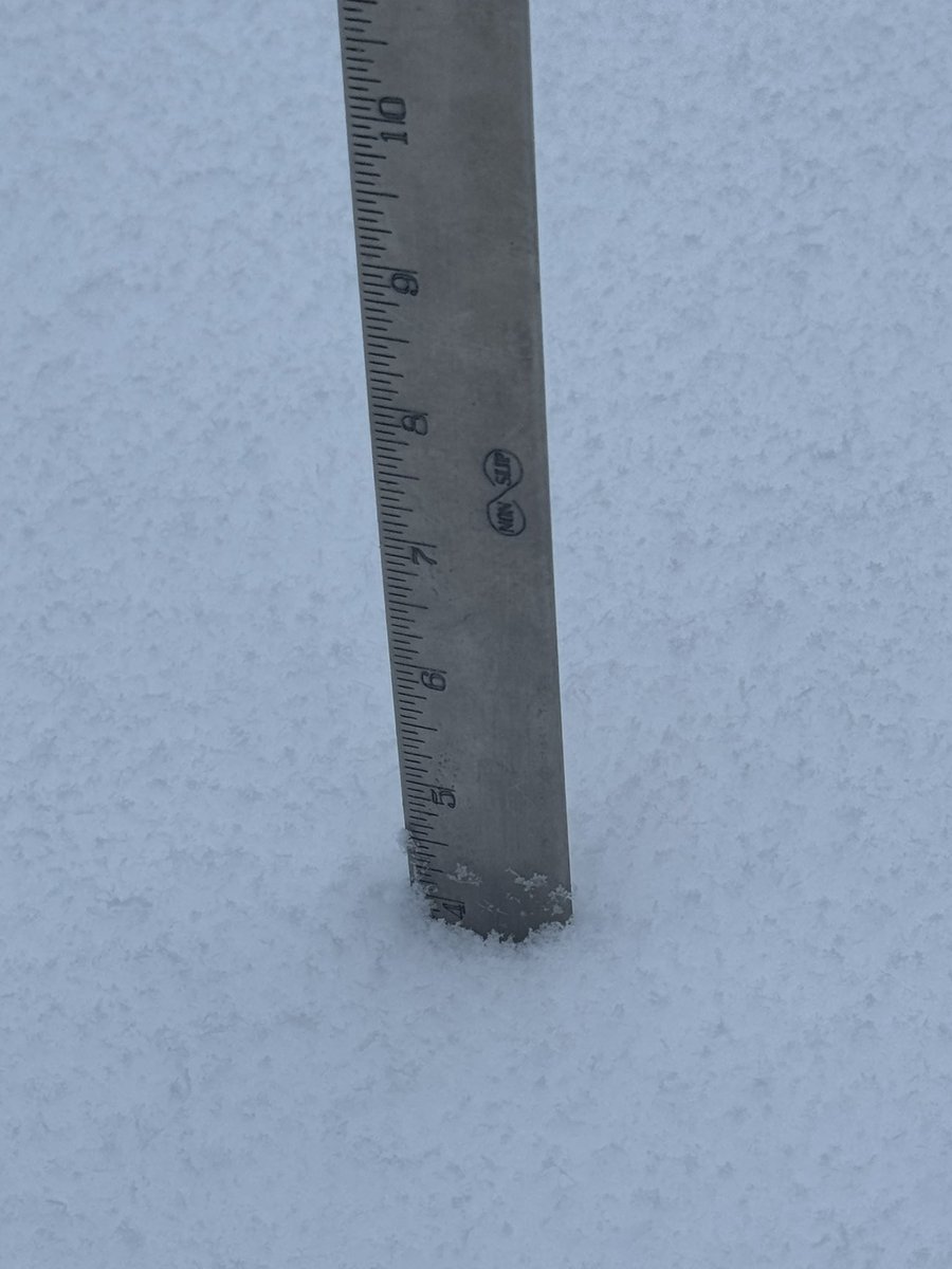<a href="/NWS_BaltWash/">NWS Baltimore-Washington</a> Updated 4” as of12z #crozet     Did an avg in grassy area-