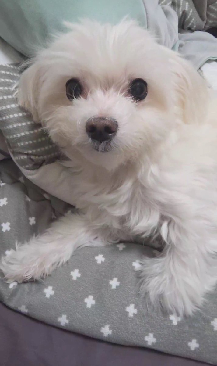 밍키 이 이 이이이이이이이이이잉ㅇ💕