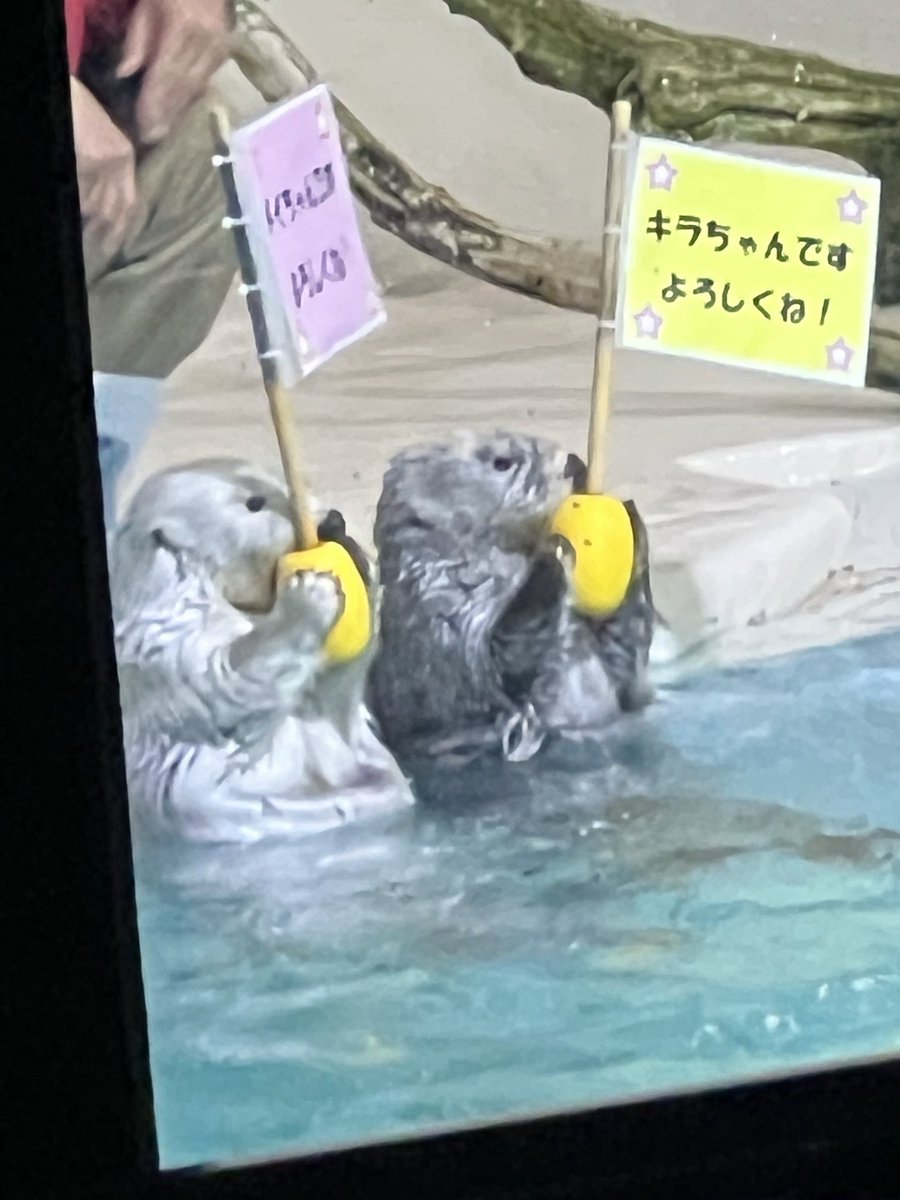 鴻鵠之志🦢84W's Ambitious!! (@o3pfFzfLtWjO5u2) / Posts / X