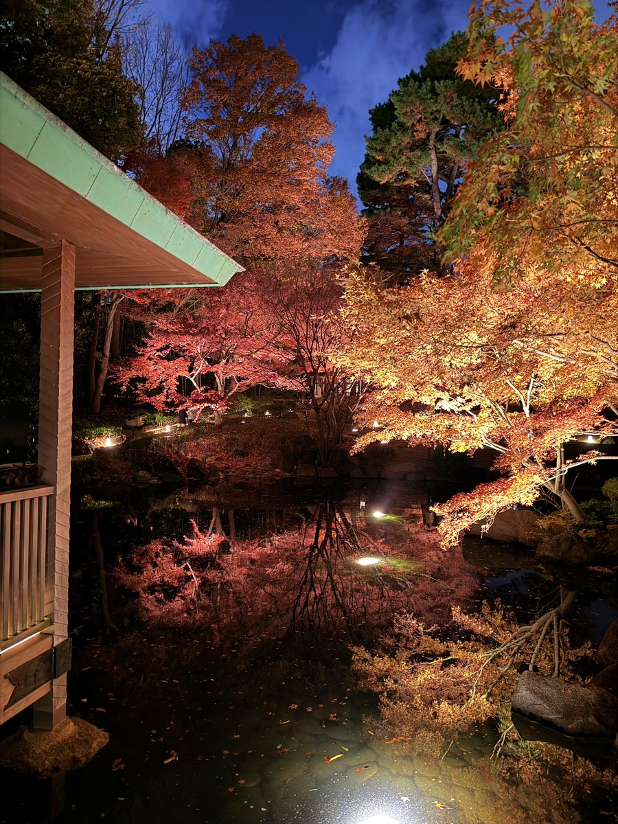 こちらのライトアップは12月7日の日曜日まで🍁

#大田黒公園