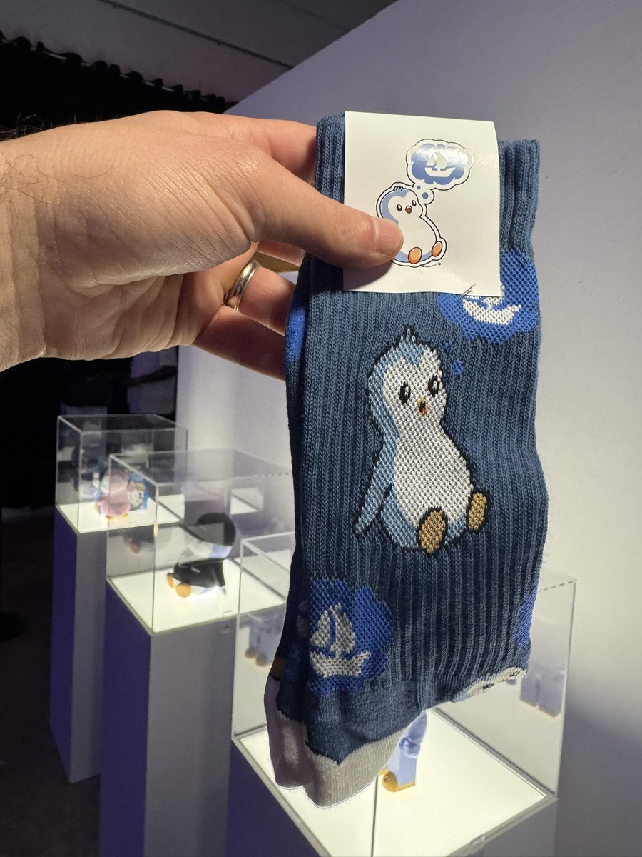 Steve 🤙 tweet media