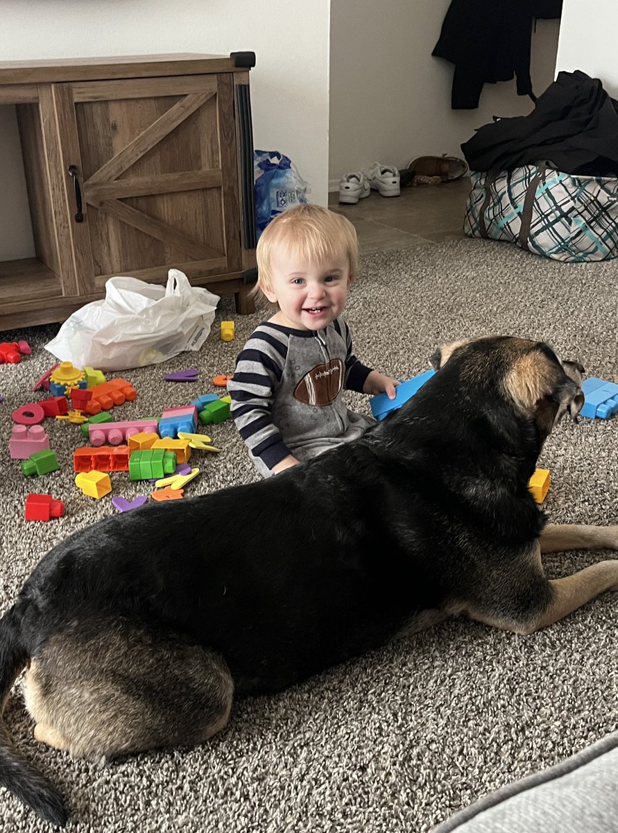 Craig Prince tweet media