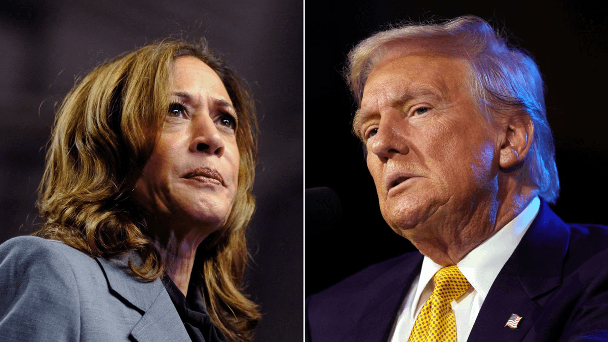 Oracle Boar tweet media