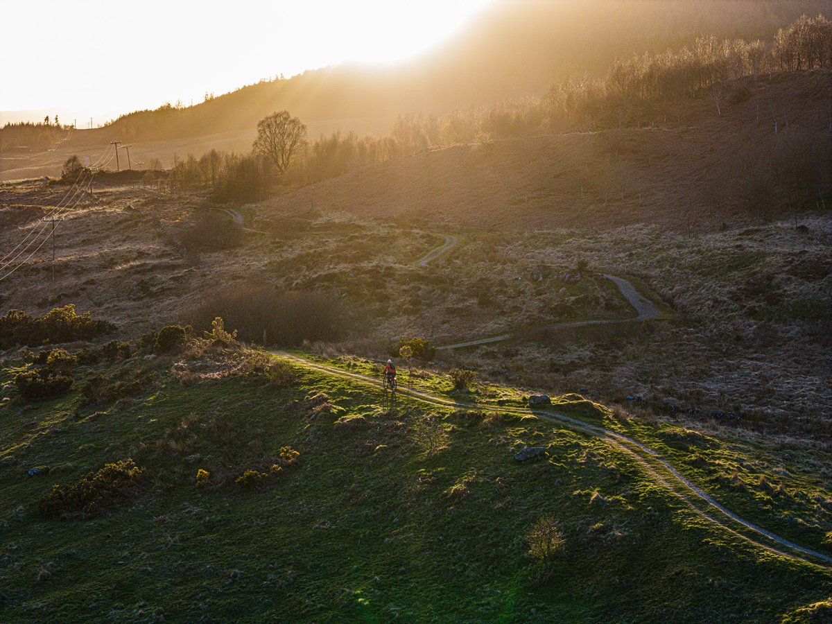 Markus Stitz tweet media