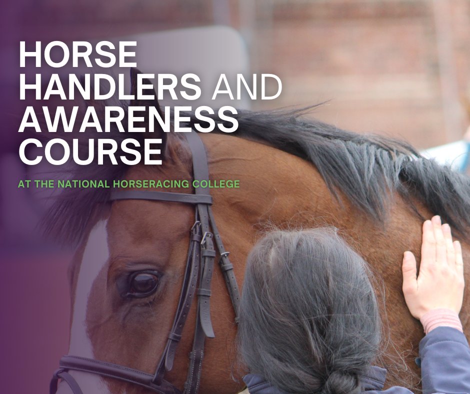 National Horseracing College tweet media