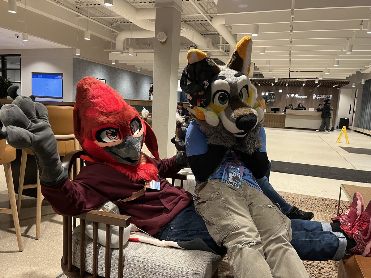 Bridger Yote tweet media