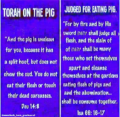 ThundersSeven's tweet photo. @GodlyAction As it is written, there is only #OneTorah "Law" Set of #Instructions for ALL not two, as we see in the upcoming 2 tier Talmudic US/UN #Noahide Laws - the enactment of them will be against the Heavenly Father's Commandment but many shall be deceived by the revived beast fr #Sheol https://t.co/BXnYM35Xus