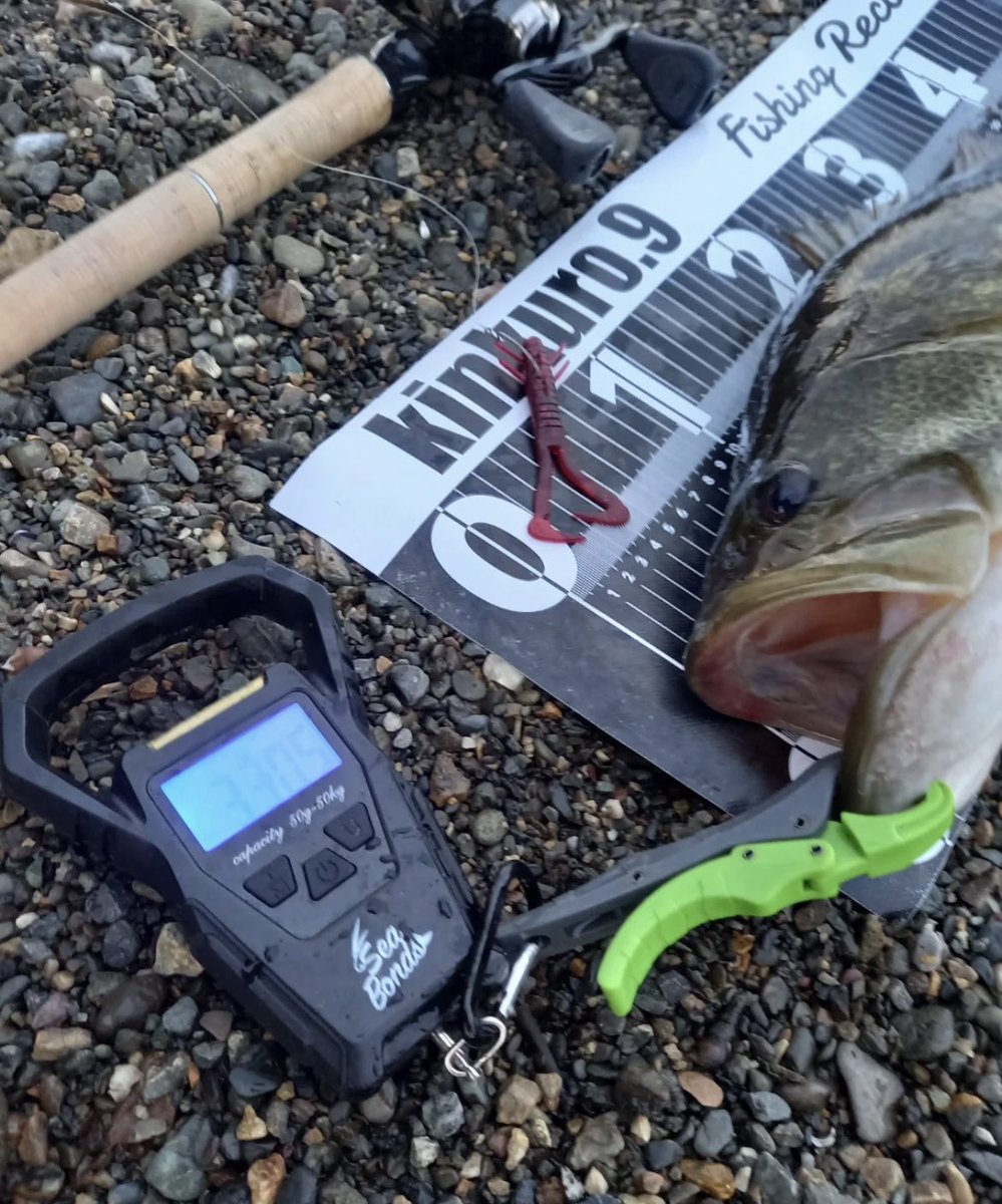 SHINJI FUJII®︎ (@vh_rodplanner) / Posts / X