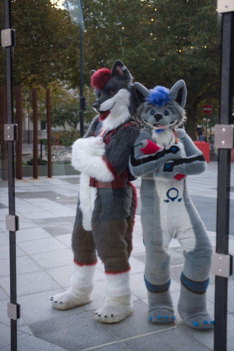 2 bad wolves in the street ~

With <a href="/HowdyTheWolf/">Howdy 🐺</a> for the #fursuitfriday