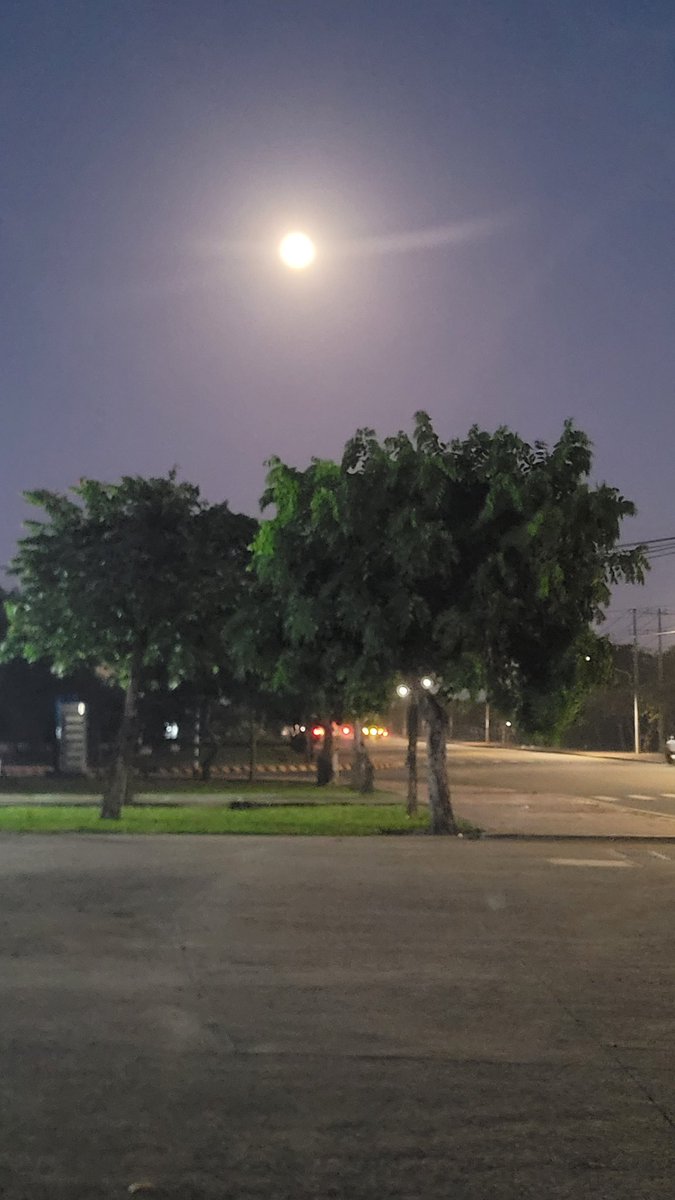 ai_van_le's tweet photo. Phố lên đèn. https://t.co/gCU1Q6b6iF