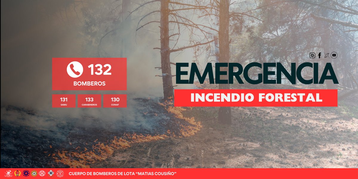 BOMBEROS LOTA tweet media