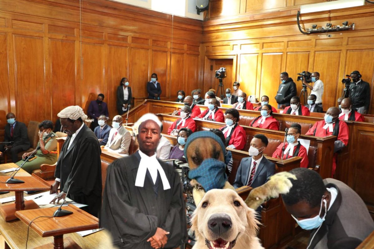 Lawyer KoT Socha will represent Mbwa Nation, there's enough evidence of vote rigging.

VijanaNaMbwa