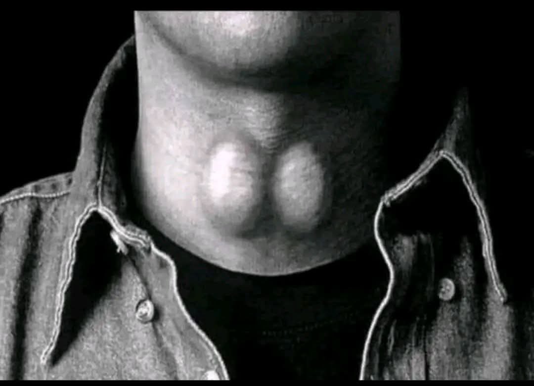 Muhammad Junaid tweet media