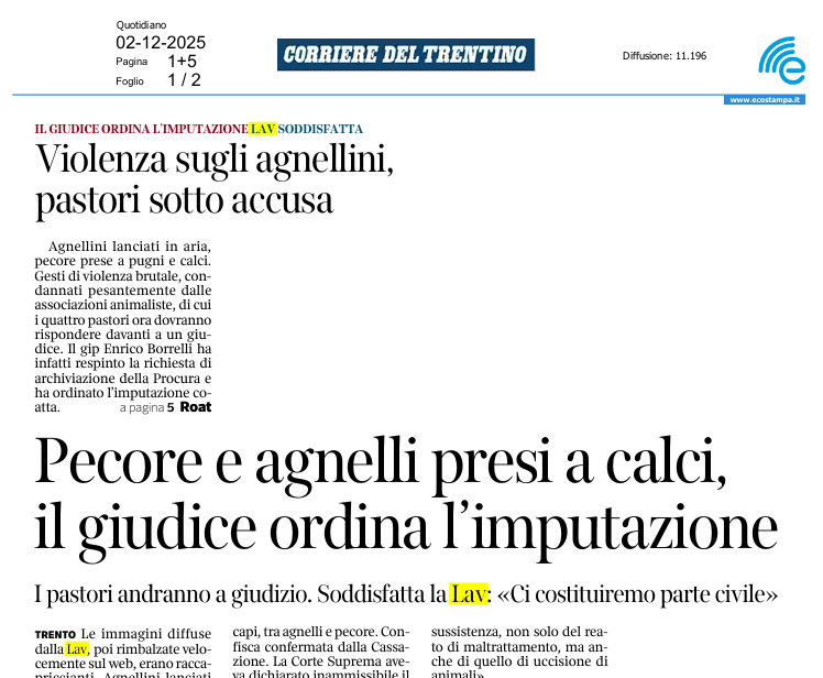 Pastori sotto accusa per aver preso a calci pecore e agnelli a Trento: ora andranno a processo! Svolta nell'inchiesta grazie ai filmati raccolti e diffusi dallo Sportello #LAV contro i maltrattamenti di Trento. Che giustizia sia fatta! Su <a href="/corrieretrento/">Corriere del Trentino</a>👇
