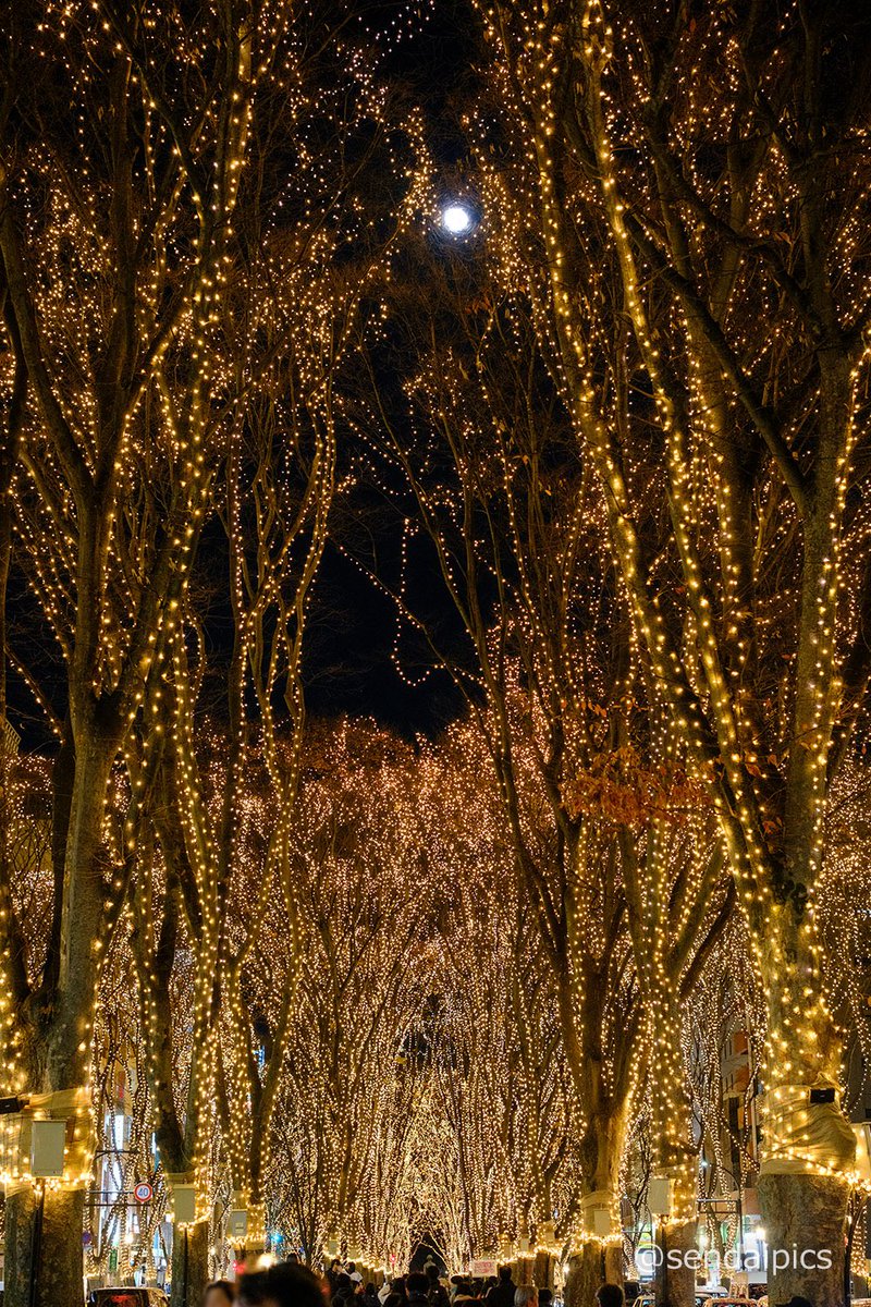 今年最後の満月の夜、SENDAI光のページェントが始まりました☺️ #SENDAI光のページェント #光のページェント #ヒカペ