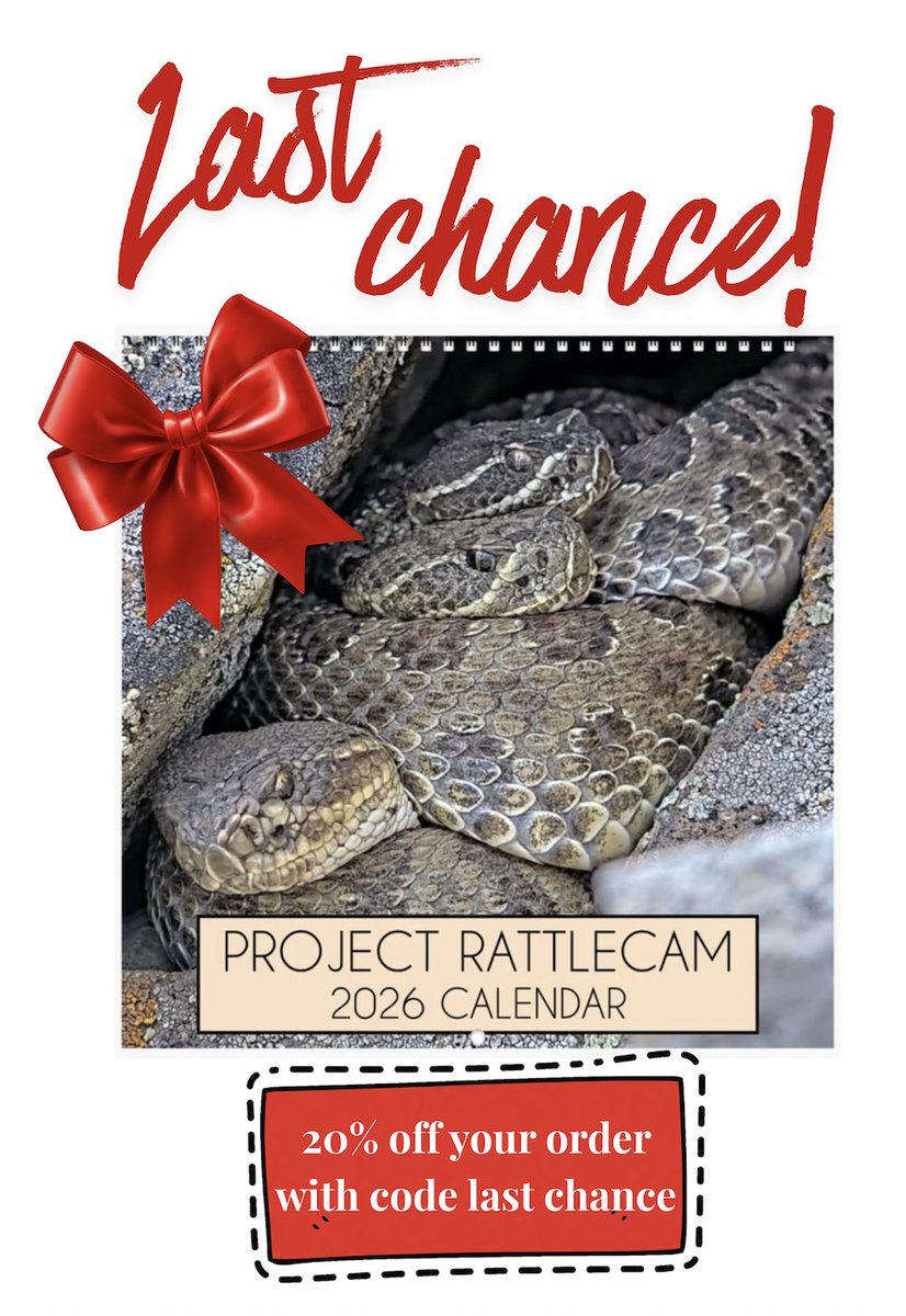 Project RattleCam tweet media