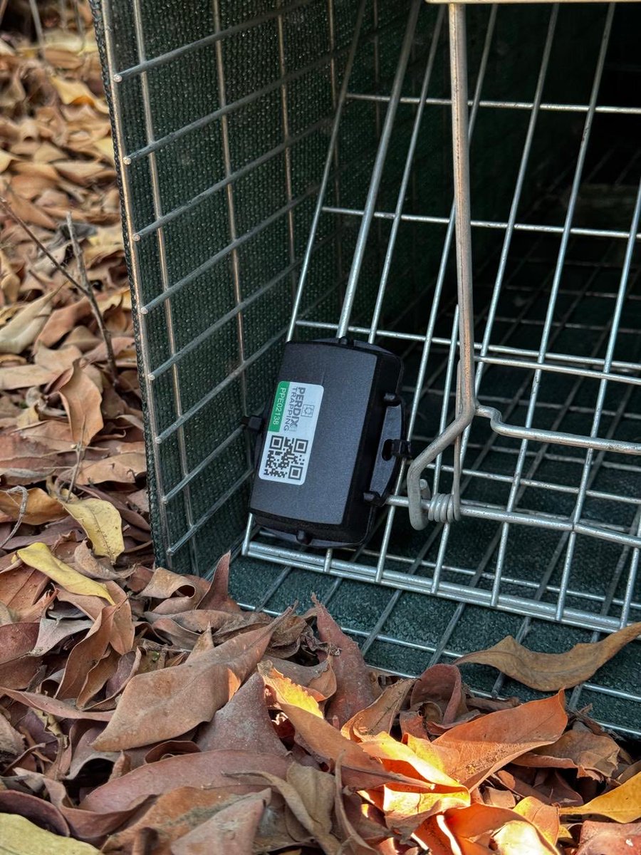 Perdix Digital tweet media