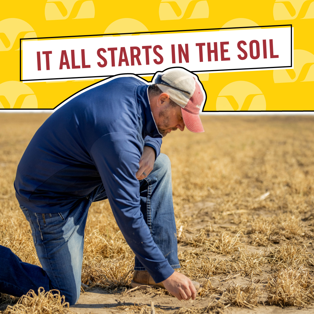 AgVenture, Inc. tweet media