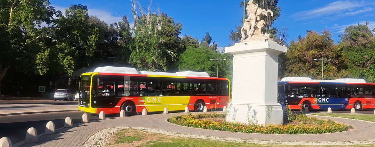 🚍 El lunes 8 de diciembre, Día de la Inmaculada Concepción de María, el servicio de transporte de pasajeros en Mendoza funcionará con horarios y frecuencias de día feriado.
