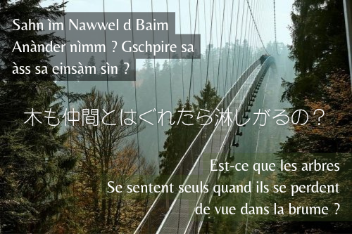 JaponStrasbourg's tweet photo. L’Alsace en #haiku 🖋 | Comment résumer en trois vers vos sentiments à l’approche de l’hiver ? 😮‍💨☁️

Tiré de l’ouvrage © Ùffem Erleblätt / Sur la feuille de l’aulne (ISBN 979-10-415-6288-6), avec l’aimable autorisation de l’auteur Edgar ZEIDLER et du traducteur SAKUMOTO Daisuke. https://t.co/ehCokMxu8S