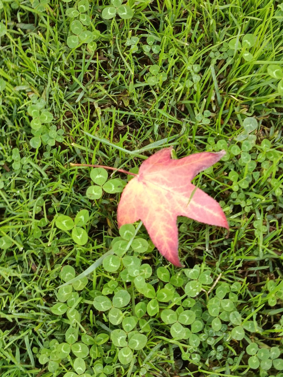 Doğadaki güzellikleri görüp mutlu olabilmek.. 🌕🍁📷