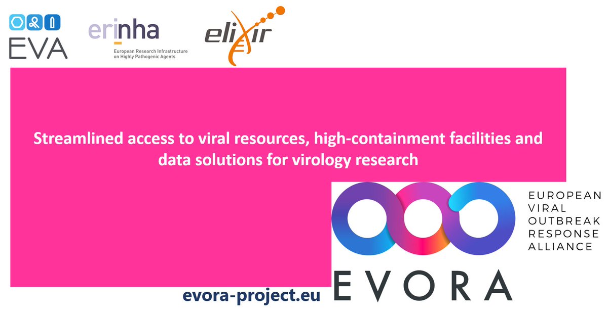 EVORA_EU tweet media