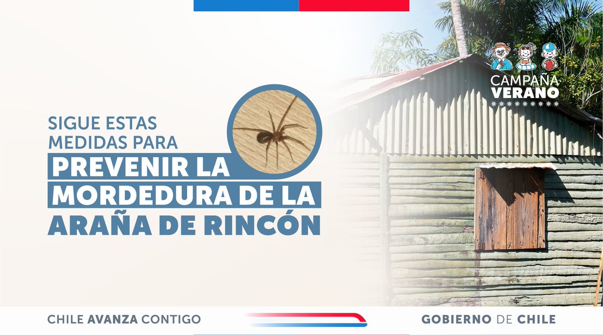 ministeriosalud's tweet photo. Prevención de mordedura de araña de rincón. #CampañaVerano

Para reducir el riesgo de accidentes, mantiene tu hogar ordenado y limpio, revisa ropa, zapatos y rincones antes de usarlos o acostarte, y evita almacenar objetos sin revisar. Al ingresar a espacios cerrados o poco iluminados, hazlo con precaución.

Ante cualquier sospecha de mordedura, acude de inmediato a un establecimiento de salud.