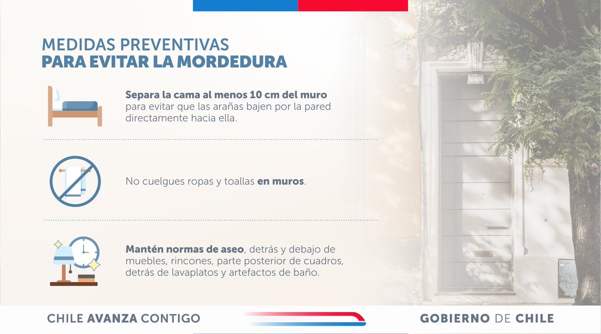 ministeriosalud's tweet photo. Prevención de mordedura de araña de rincón. #CampañaVerano

Para reducir el riesgo de accidentes, mantiene tu hogar ordenado y limpio, revisa ropa, zapatos y rincones antes de usarlos o acostarte, y evita almacenar objetos sin revisar. Al ingresar a espacios cerrados o poco iluminados, hazlo con precaución.

Ante cualquier sospecha de mordedura, acude de inmediato a un establecimiento de salud.