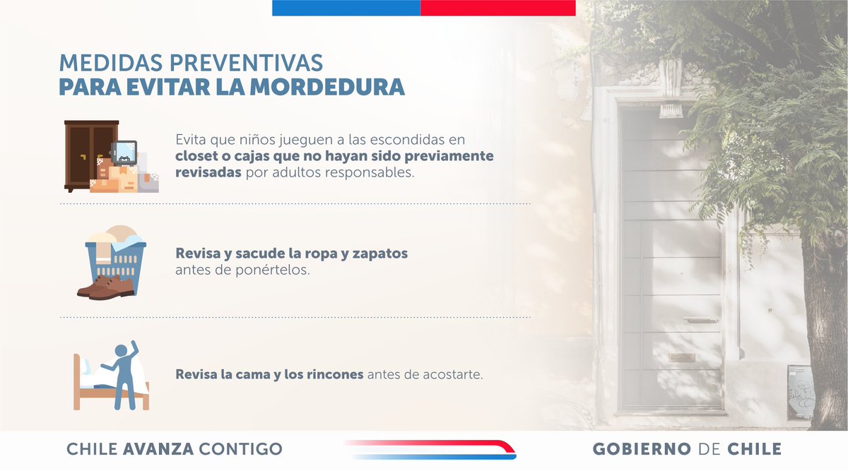 ministeriosalud's tweet photo. Prevención de mordedura de araña de rincón. #CampañaVerano

Para reducir el riesgo de accidentes, mantiene tu hogar ordenado y limpio, revisa ropa, zapatos y rincones antes de usarlos o acostarte, y evita almacenar objetos sin revisar. Al ingresar a espacios cerrados o poco iluminados, hazlo con precaución.

Ante cualquier sospecha de mordedura, acude de inmediato a un establecimiento de salud.