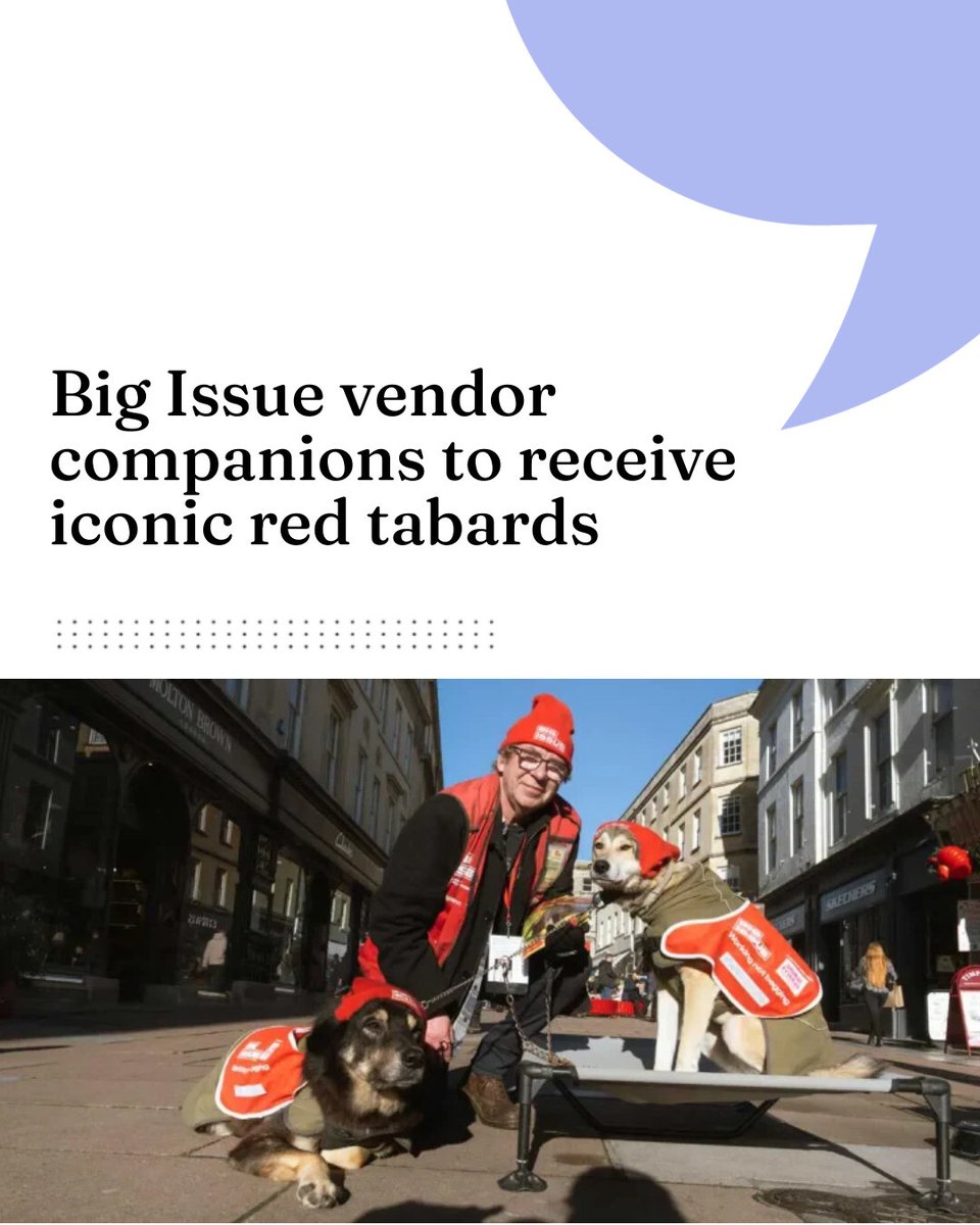 VN Times tweet media