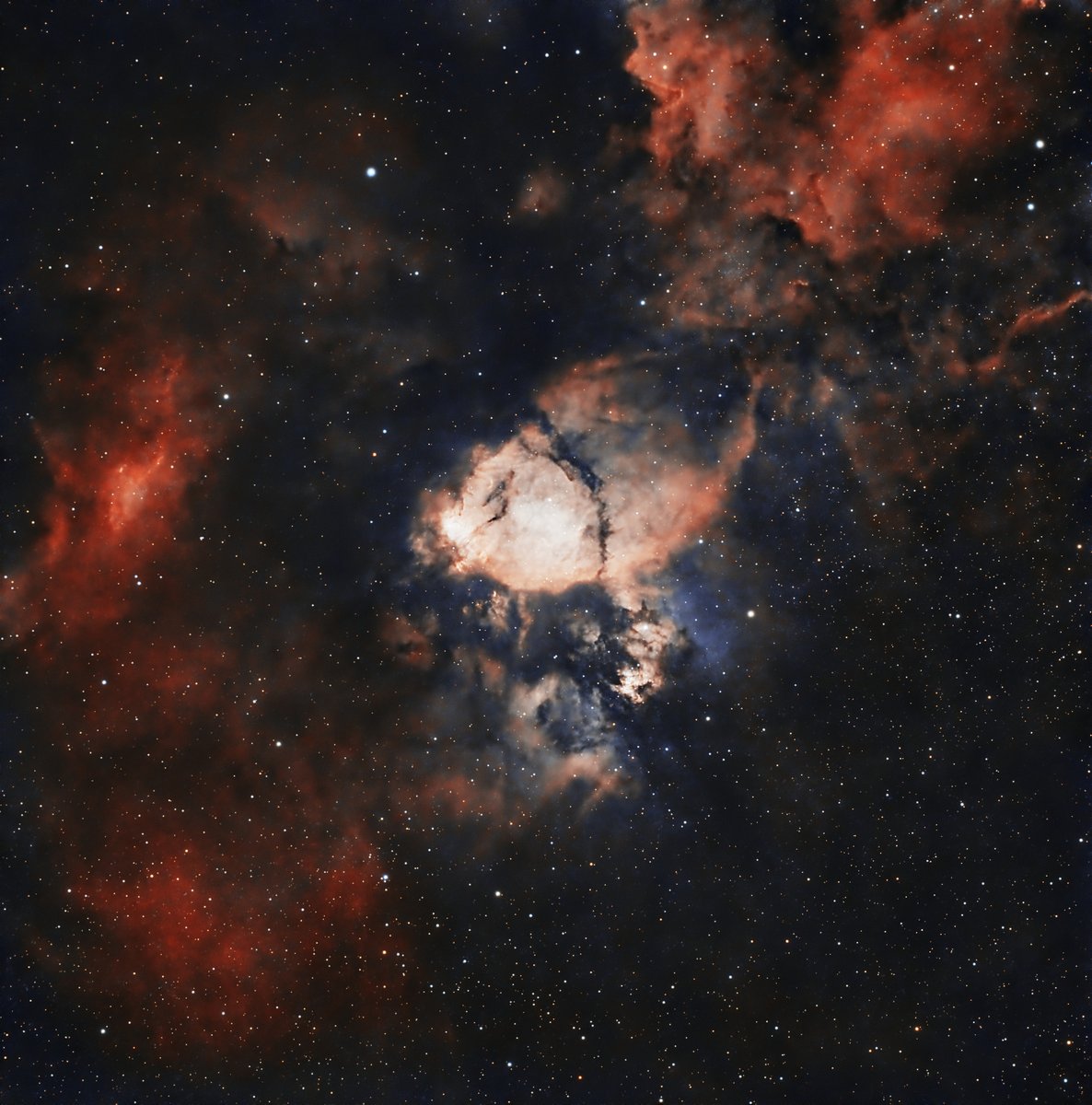 This is IC 1795, the "Fish Head Nebula" in Cassiopeia (see it?). It is a part of the Heart Nebula, a star forming region 6500 LY away. Colors are a little washed out due to shooting during the full Moon. SvBony SV503 80ED Telescope and ZWO 533mc Pro Camera. 5 hrs of data.