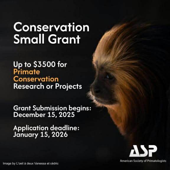 AmSoc Primatologists tweet media