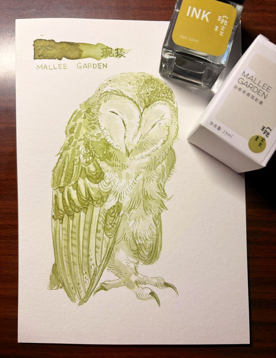 天草(Amakusa)🪶 (@volpecorvo) / Posts / X