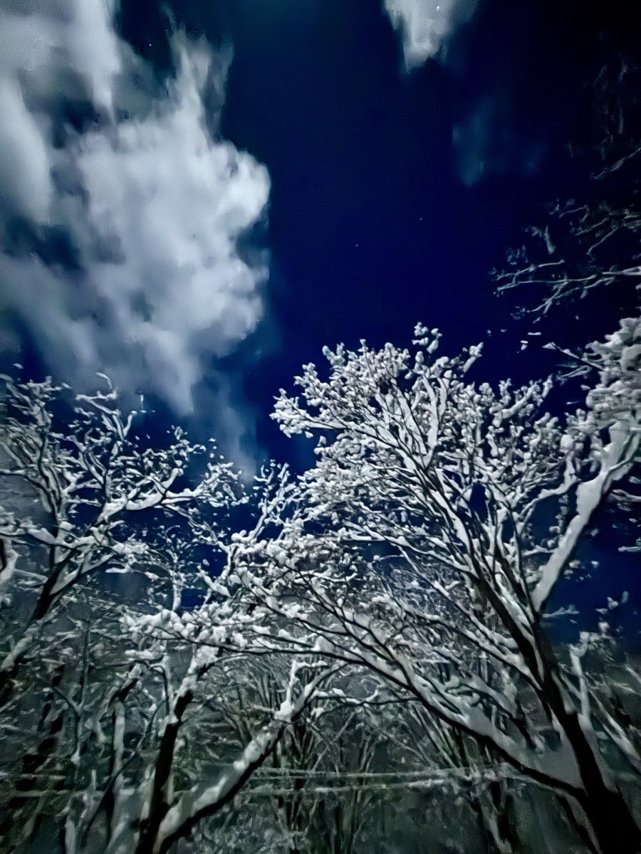 ruirui8181's tweet photo. 雪明かり
#裏磐梯
#北塩原村
#レイクウッドペンション村
#雪明かり
#空ネット https://t.co/mSpcJpzoDP