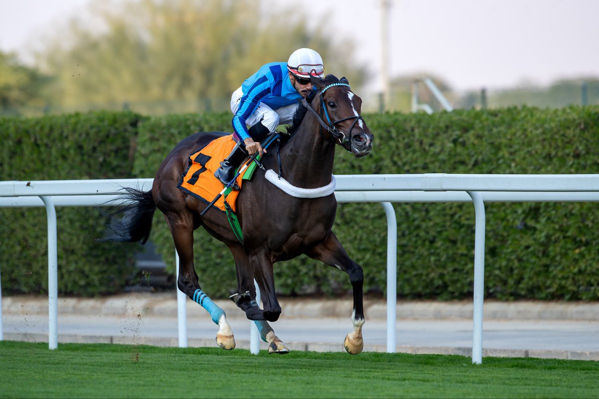 الإسطبل السماوي tweet media