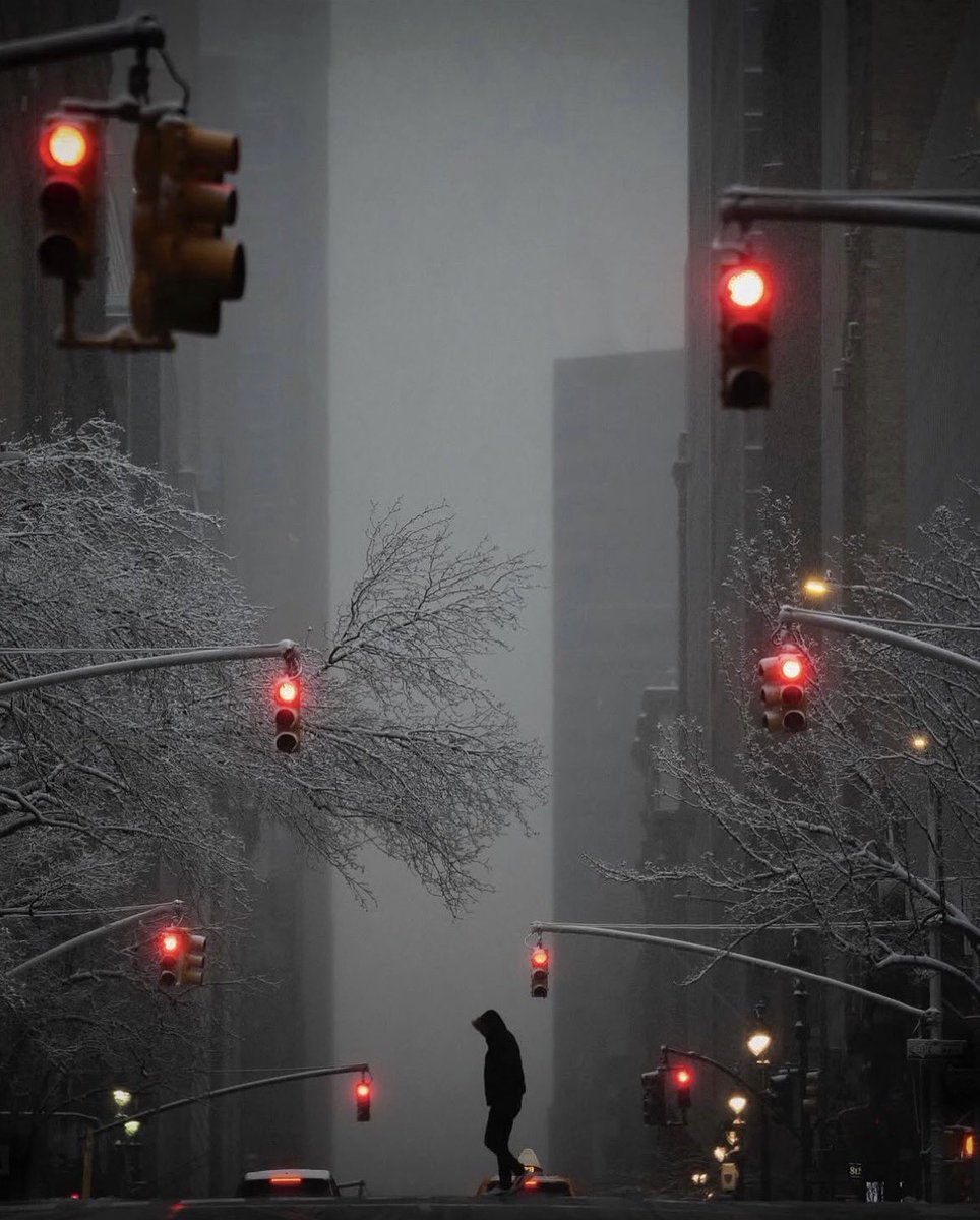 theglobalphotocommunity tweet media