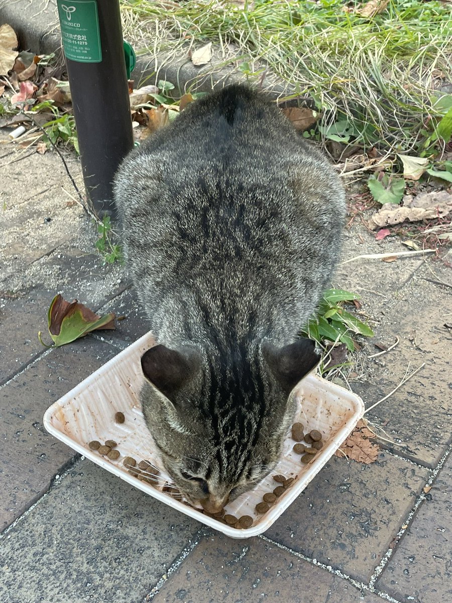 そろそろ寝よう😪 今日は早く寝る😴 おやすみなさい⭐