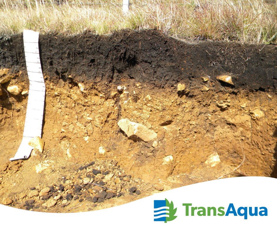 At TransAqua, we’re committed to healthy soils. For over 20 years we have produced Category A compost, and we have given it away for FREE! Approximately 30,000 tonnes get reintroduced back into our community, helping enrich soils while supporting a healthier environment.