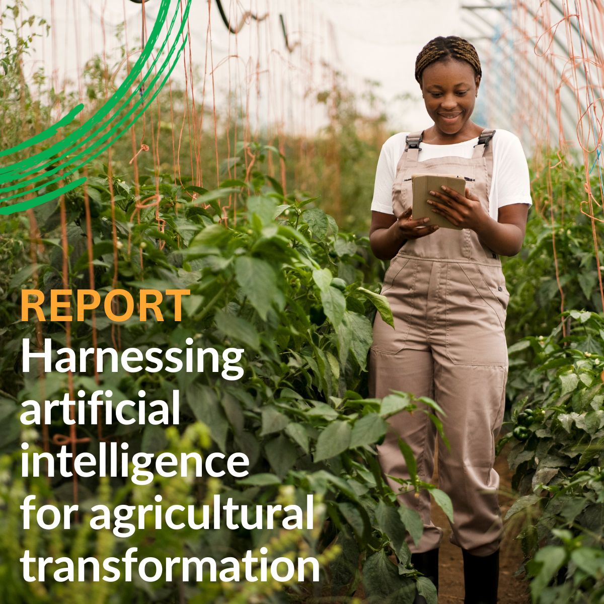 AI can help farmers and agribusinesses make better decisions. But it requires countries to ensure safe, inclusive use.

Our report outlines some key priorities: wrld.bg/nhhU50XxIFO