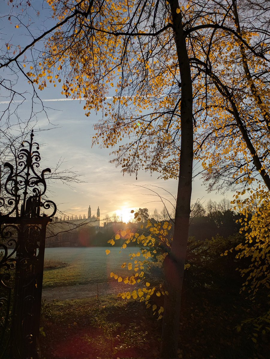 Dr Lotte Reinbold tweet media