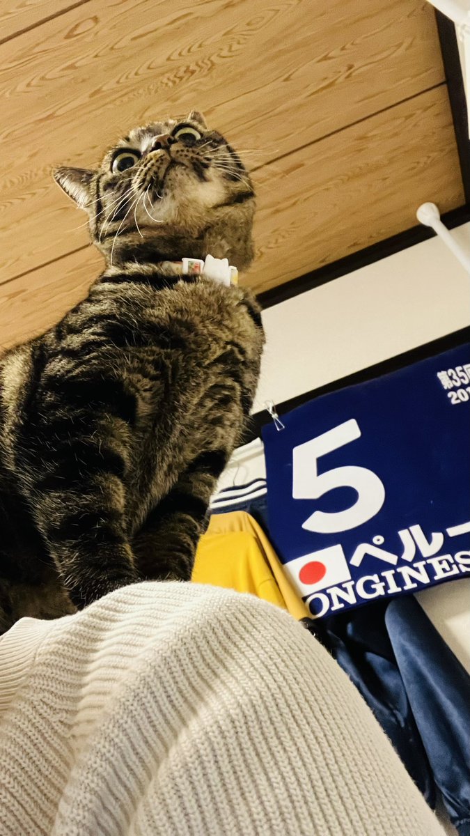 モトイチ (@motoichi561) / Posts / X