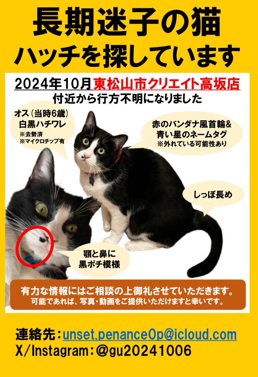 ハッチが迷子になってから早1年2ヶ月。
迷子になってから確実な目撃情報がない状況が続いており、寒さも相まって情報のご提供もなくなっておりますが、諦めずにできることを続けていきます。
引き続きご協力お願いできますと幸いです。
#埼玉県 #東松山市 #迷子猫 #迷い猫 #情報拡散希望