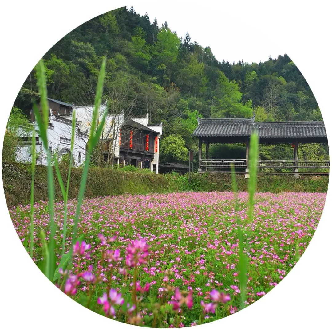 hi3204's tweet photo. @hanlon_murray 1111在水墨晕染里撞见春天——老巷墙根的青苔爬过宣纸上的留白，一笔淡绿勾住风的尾巴，原来艺术藏在日常褶皱里的呼吸感。 https://t.co/qBIUaxTnHt