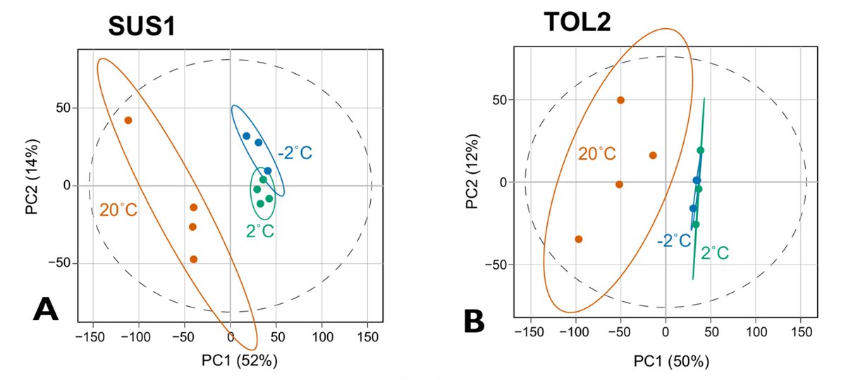 UMNTurf's tweet photo. Check out our latest #WinterTurf blog: Using data to improve cold acclimation experimental design for WinterTurf by @FreundSaxhaug. 

https://t.co/5NbrHnAHKf https://t.co/r7V0bsld81