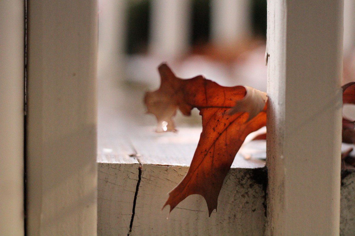 Day 1 (taken by me)