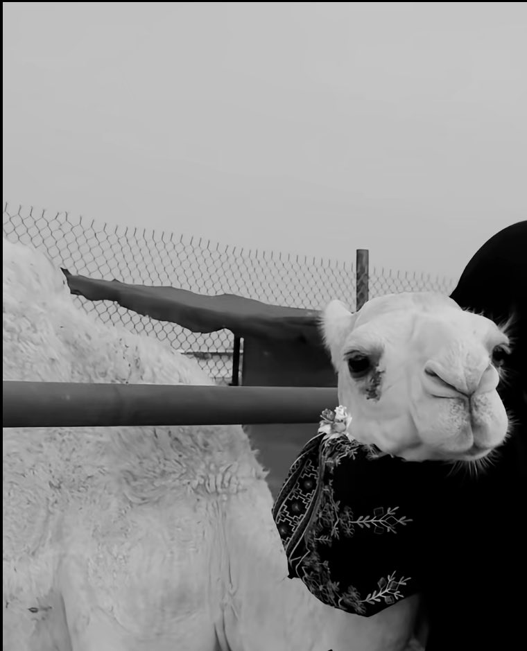 خايف عليك من الحياة و من صواديف الزمن 
اليا تركتك ما تركني حرصي وخوفي عليك ❣️.