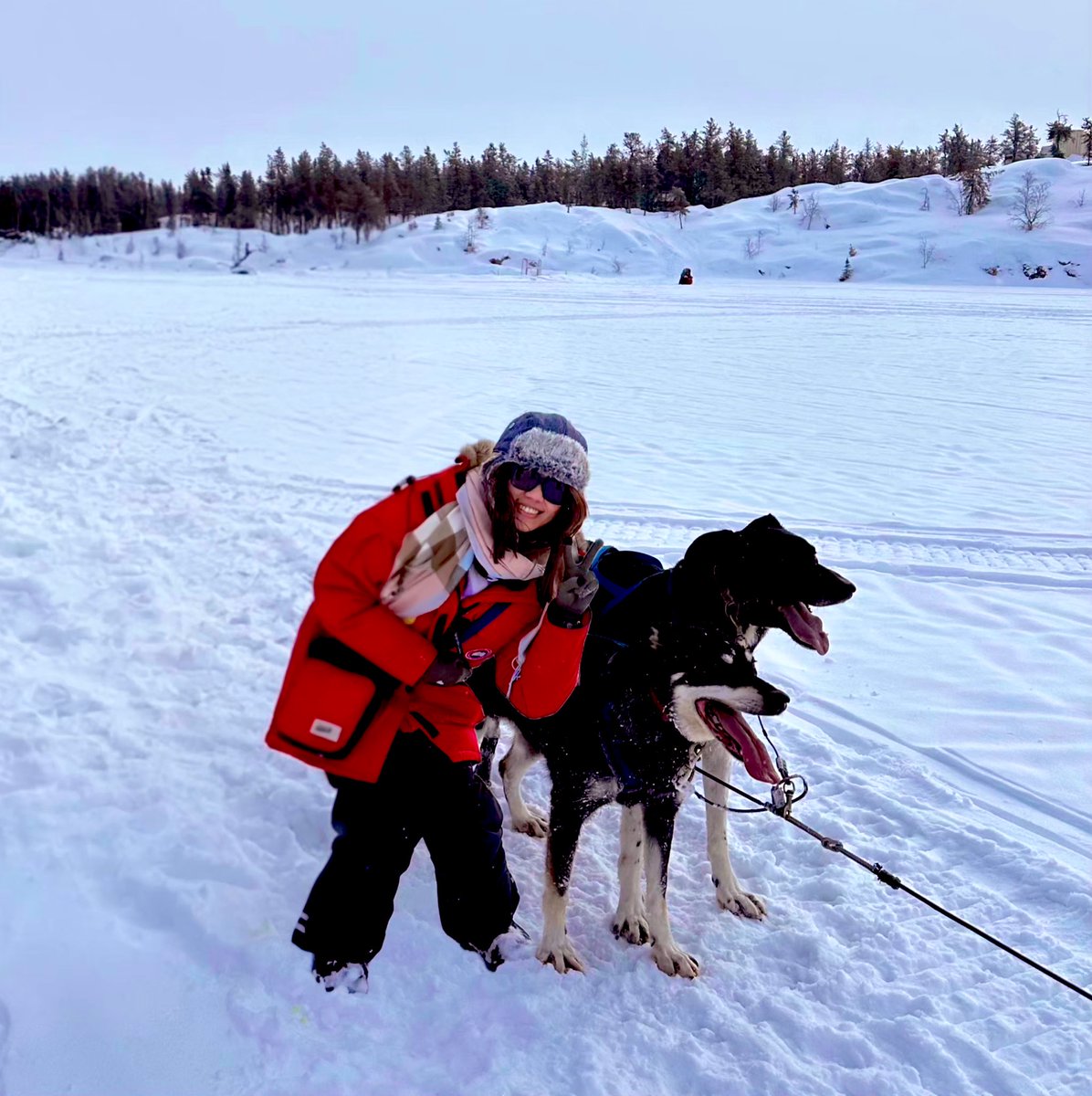 flowwithmileapo's tweet photo. I missed ❄️ 🐕 -30 degrees Celsius

#GreenyRoseSelcaDay https://t.co/LGtBWLprAm